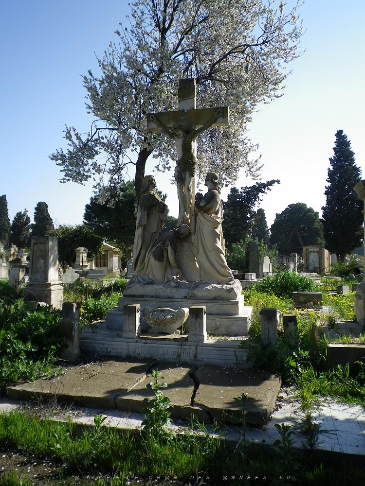 CIMETIERE DE TAMAZOUHET D ORAN EN MARS 2012  (153).JPG